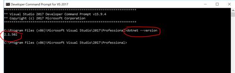 dotnet list sdks|how to check dotnet version.